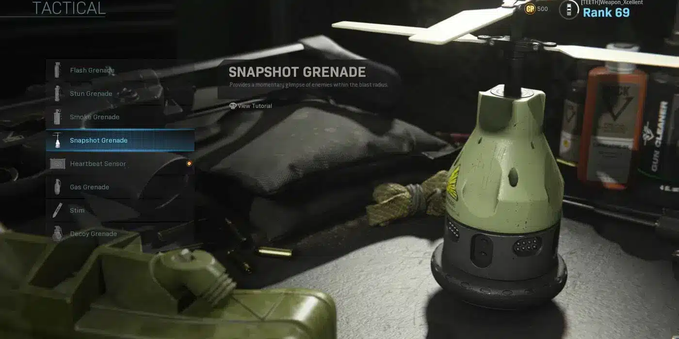 Warzone Snapshot Grenades