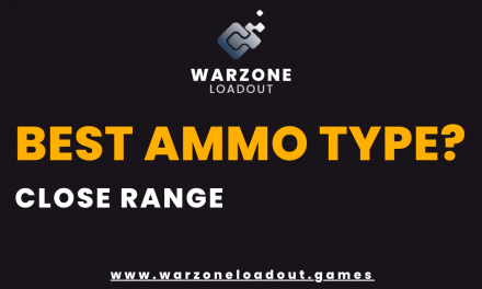 What is the best ammo type for Warzone?
