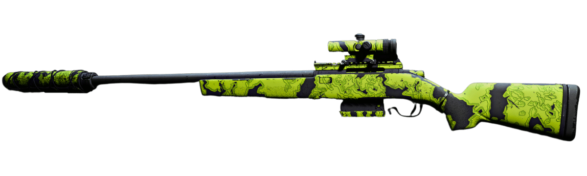 Best SP-R 208 loadout for Warzone Sniper