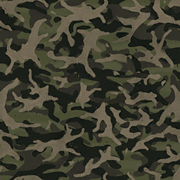 Forest Water camo preview