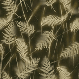 Gladiator camo preview